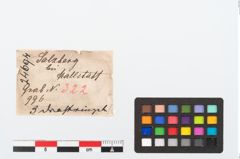 Etikett zu Bronzering (NHMW-PRAE-024694)